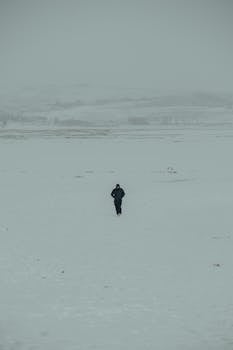 A solitary person walks across a vast snow-covered field under a misty winter sky. Perfect for themes of isolation or serenity.