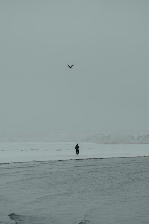 Immagine gratuita di cielo, inverno, lago