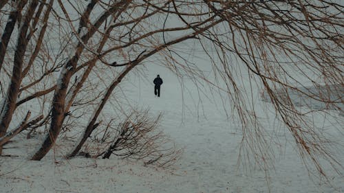 Person Walking on Snow Covered Ground
