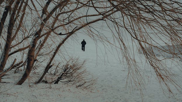 A solitary figure walks through a snowy landscape under bare trees during winter, creating a serene and secluded scene.