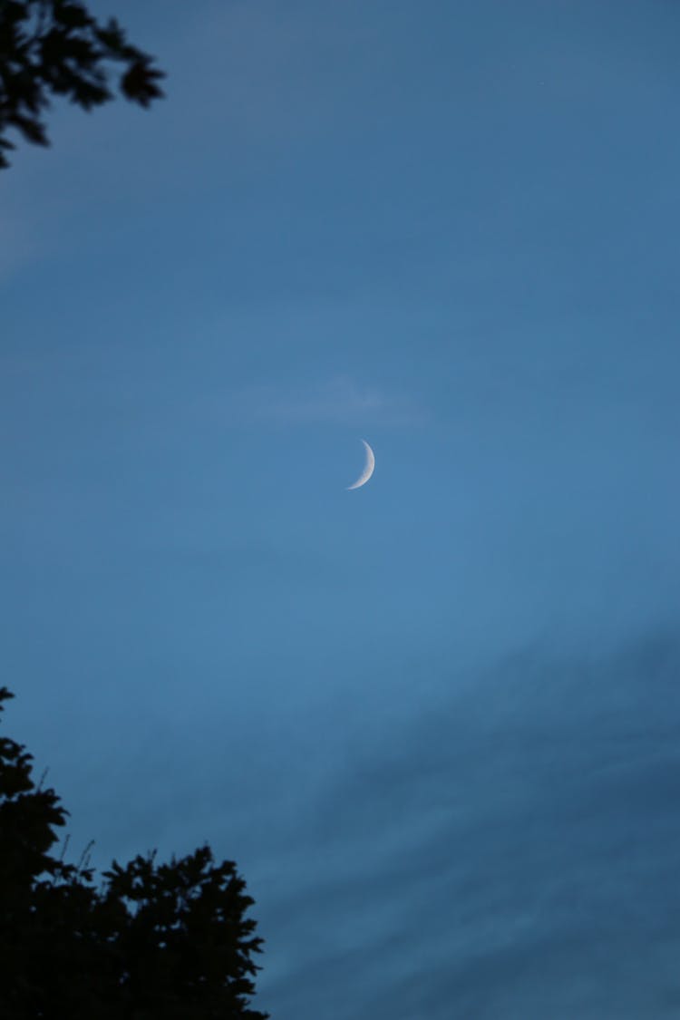 Crescent Shape Of The Moon