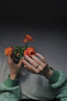 Aesthetic close-up of hands gently holding vibrant orange flowers with a soft focus background.