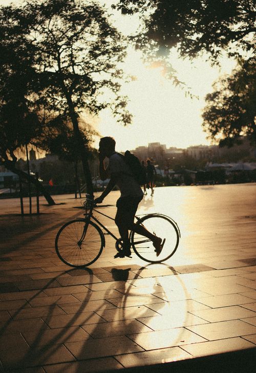 Free Silhouette of a man cycling at sunset in an urban park, capturing street life. Stock Photo