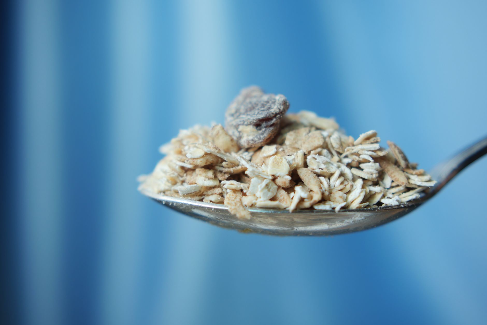 The Truth About Grain-Free vs. Grain-Inclusive Dog Food and Cardiac Issues