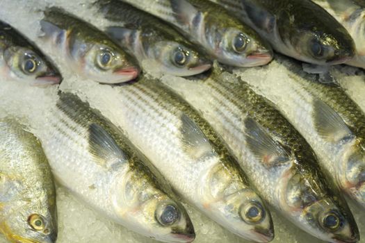 Ottawa Drops Seafood From Counter-Tariff List, Adds Copper Wire and Charcoal