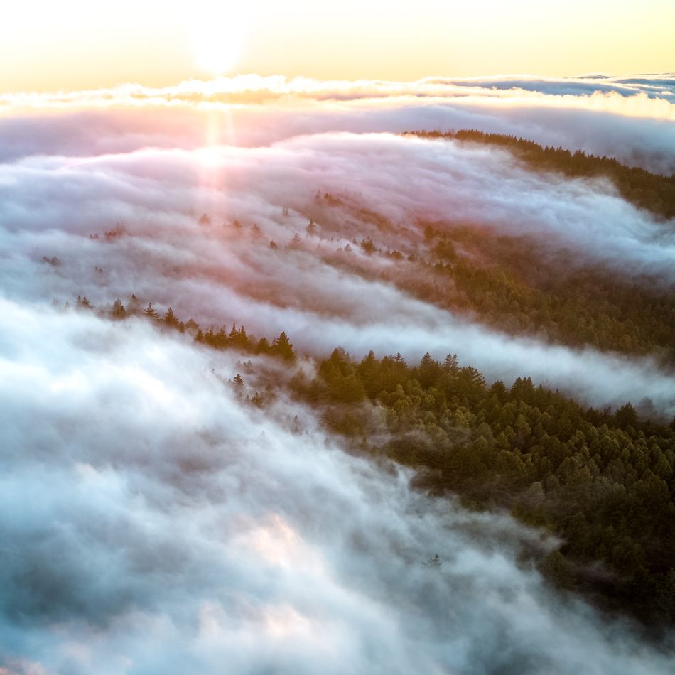 Aerial view of fog over a forest at sunrise — photo by Zetong Li on Pexels
