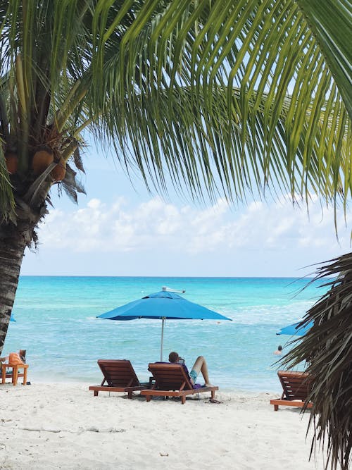 People Relaxing at the Beach