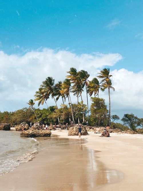 Free Tropical beach at Morro de São Paulo with palm trees and clear skies. Stock Photo