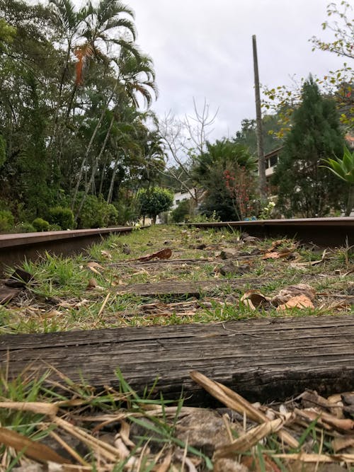 Fotos de stock gratuitas de ferrocarril brasileño, linha ferrea, santa isabel es