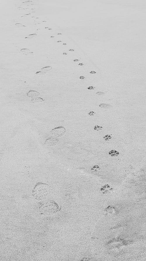 Free Friendly footprints in the sand Stock Photo