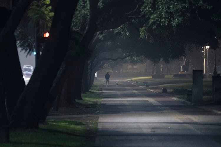 A Person Walking With His Dog On The Road