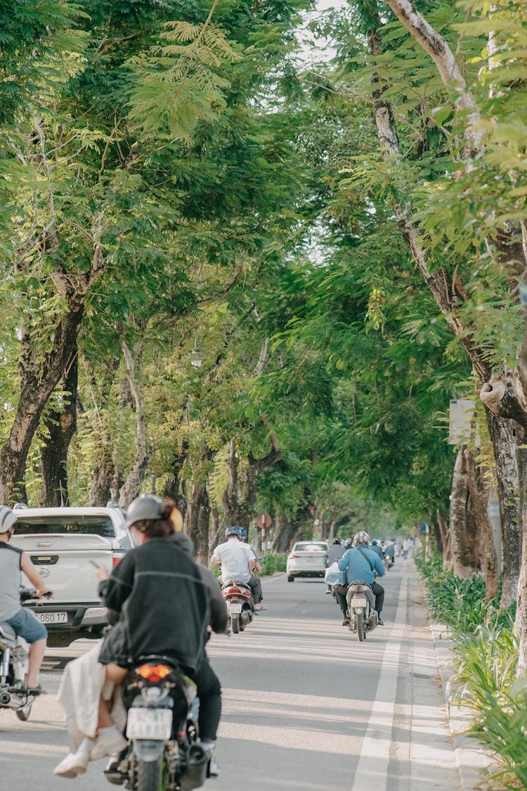 People On Scooters On Road