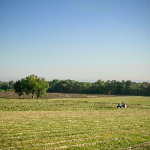 Free A lone tractor working in a vast farmland under a clear blue sky in El Puesto, Mexico. Stock Photo