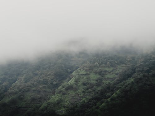 Free stock photo of cloud, dark, fog