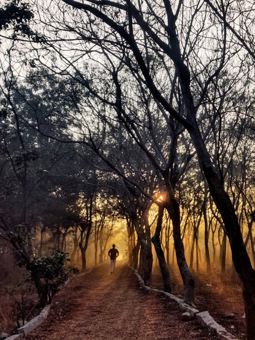 Morning Walk of Man on Unpaved Pathway Between Trees 