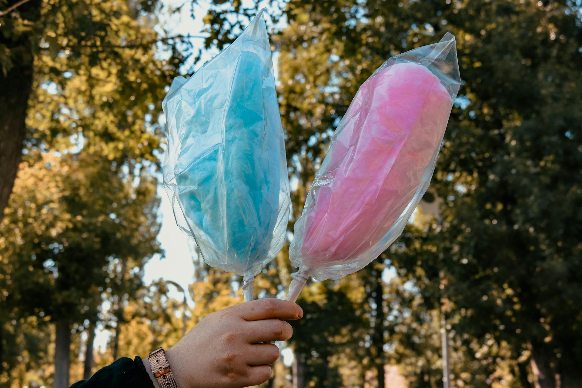 Person Holding Cotton Candies Wrapped in Plastic