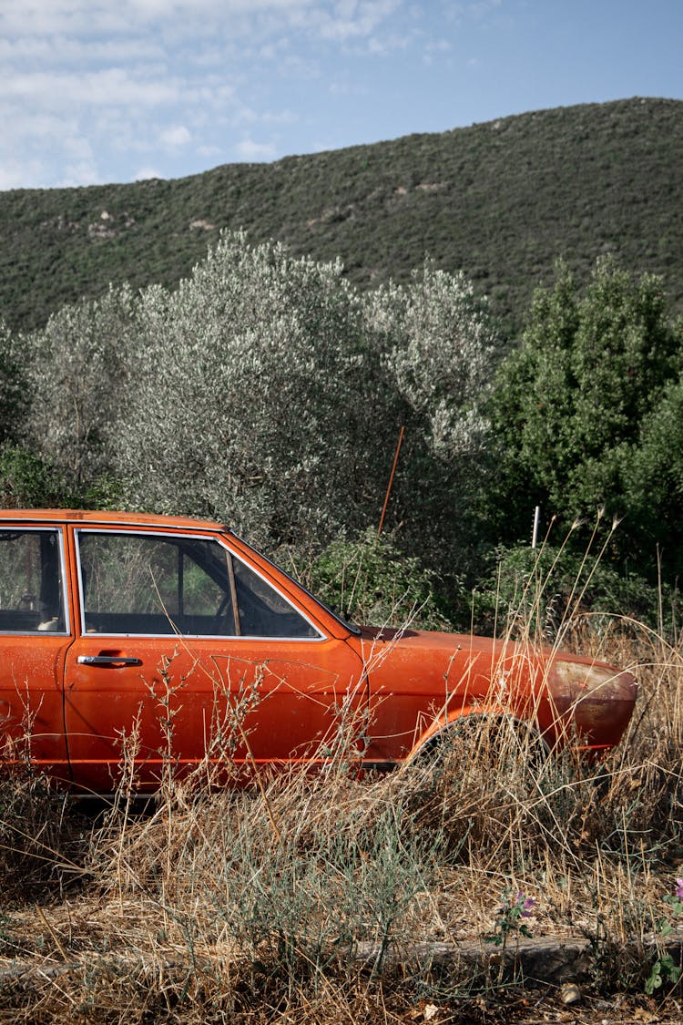 Red Car In Tall Grass 