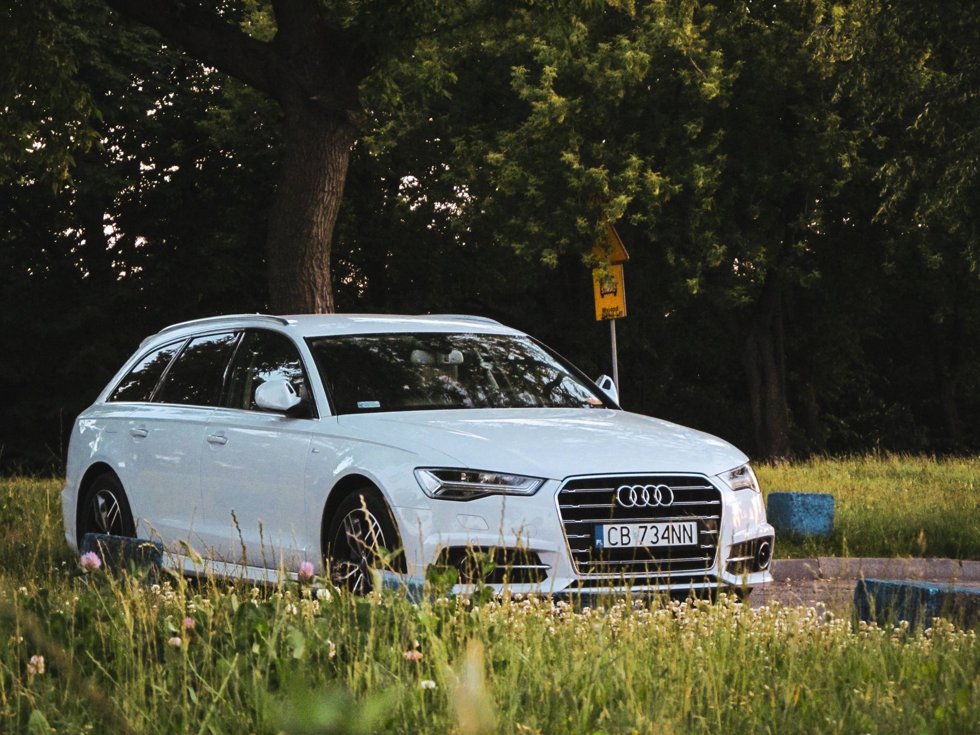 A white Audi A6 parked by a lush green field in Inowrocław, Poland, under a tree.