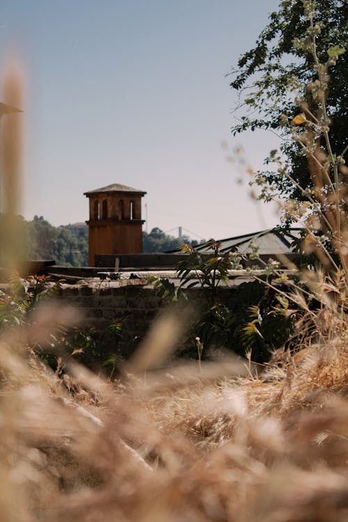 Historical Building Tower Photographed from behind the Trees and Grass