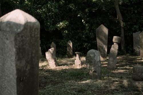 Free Historic tombstones in a serene Istanbul cemetery surrounded by greenery. Stock Photo