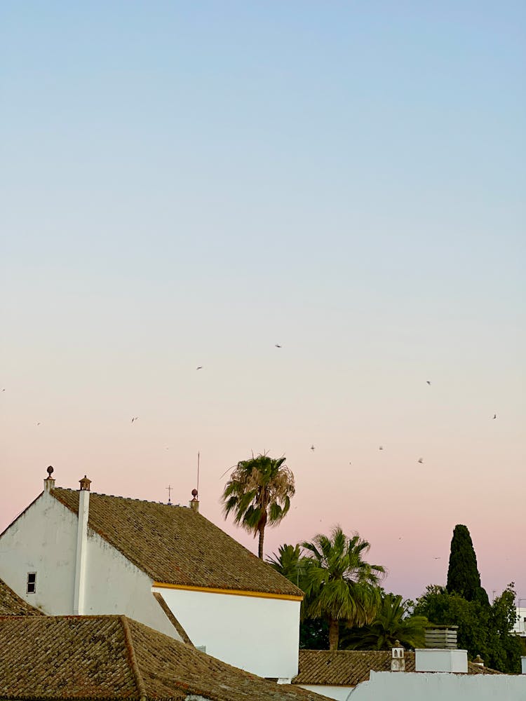 Houses At Sunrise