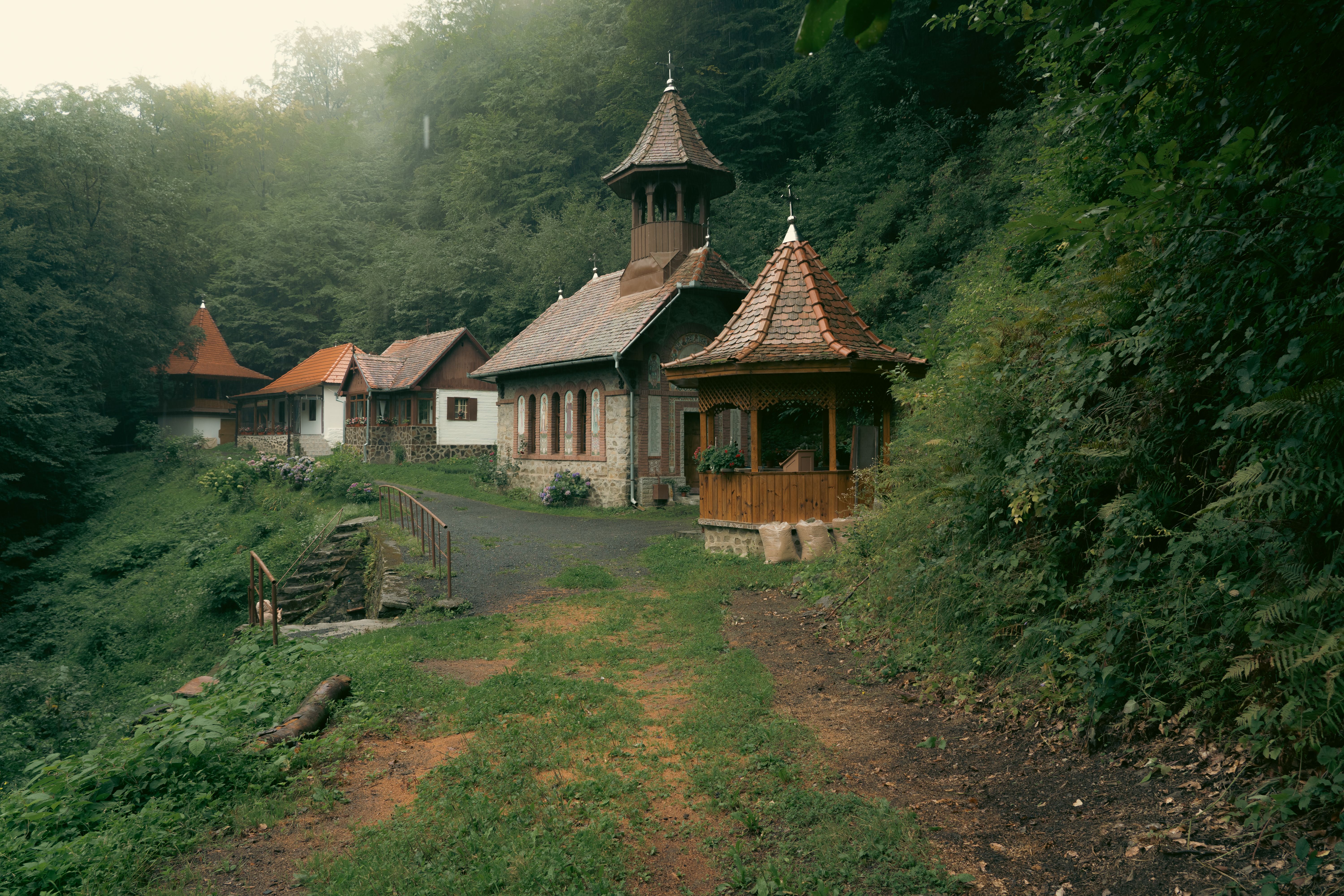 The Rise of Digital Detox Retreats: A Journey of Self Discovery