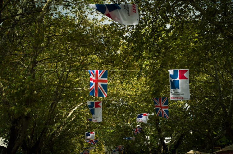 Australian Flags And Banners Hanging On Green Tree