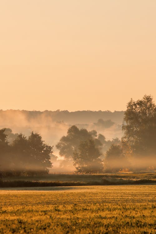 Kostnadsfri bild av fält, klar himmel, landskap