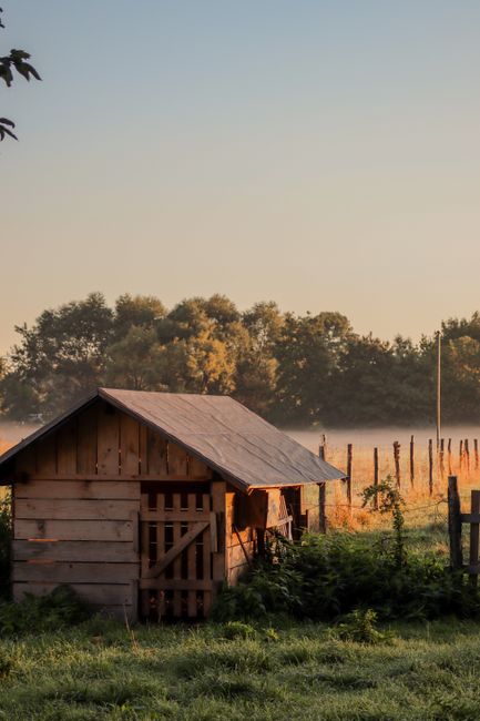 A peaceful rural scene featuring a wooden shed in the countryside at sunrise, surrounded by nature.