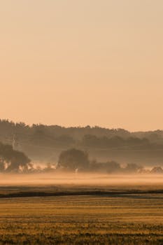 A tranquil morning scene with mist over a rural landscape and trees at dawn.