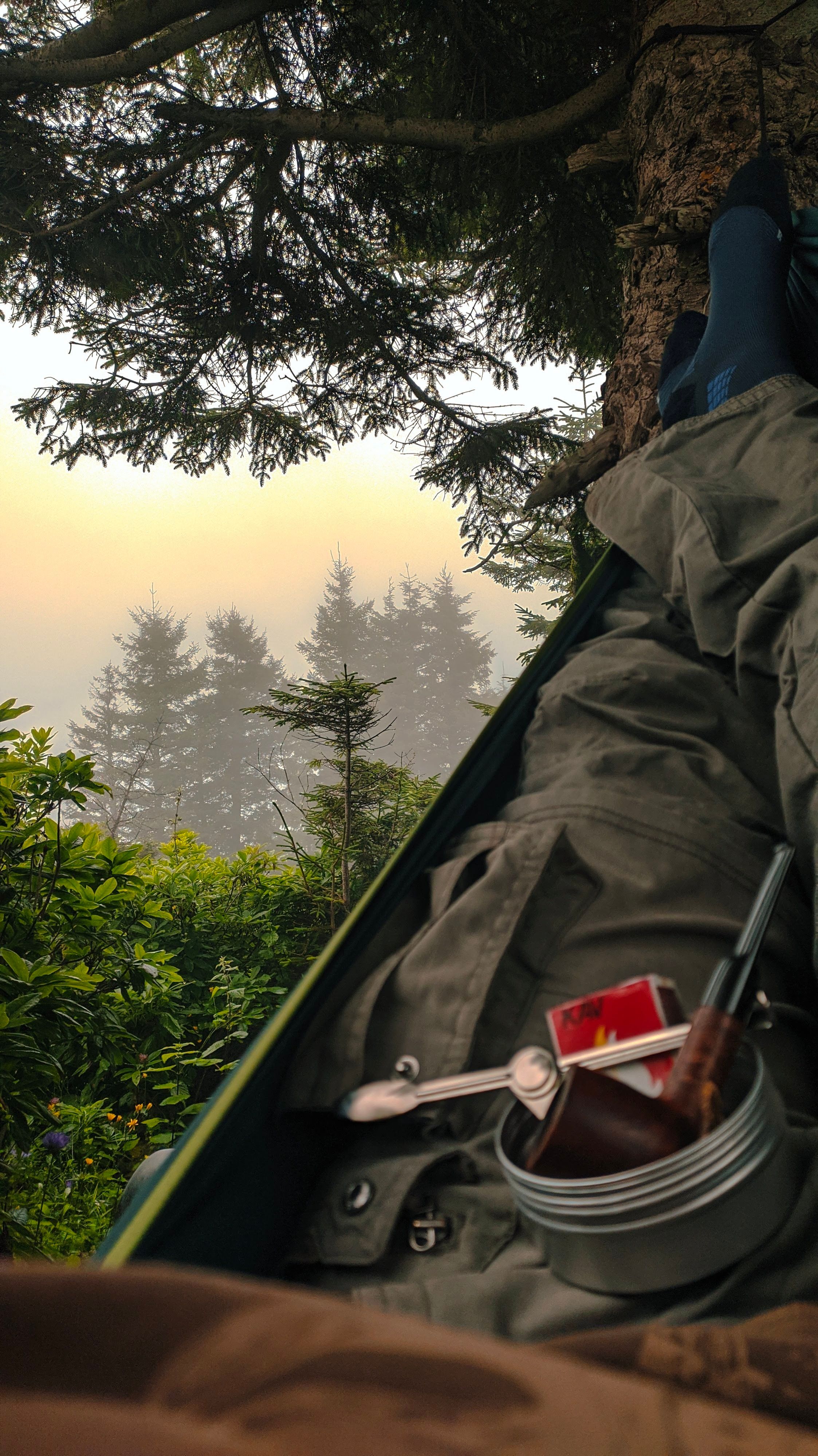 Person in a Hammock overlooking Trees · Free Stock Photo