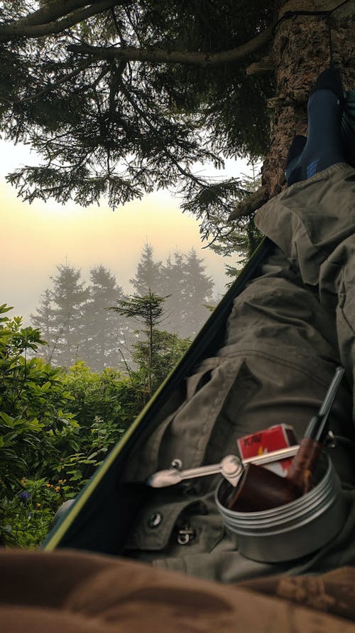 Person in a Hammock overlooking Trees