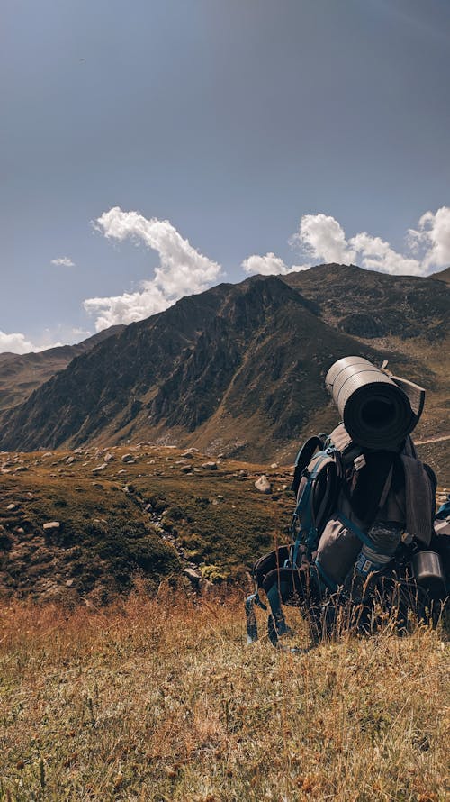 Scenic View of Rocky Mountain and Meadow 