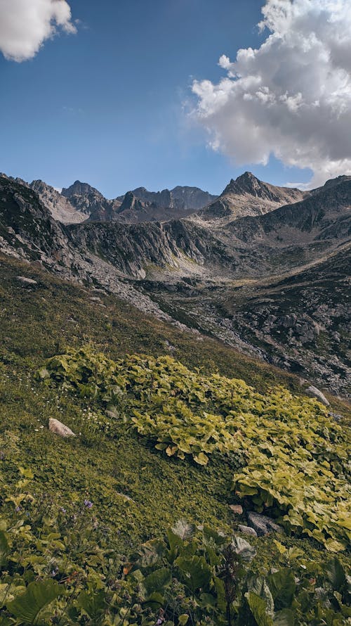 Scenic View of Rocky Mountains