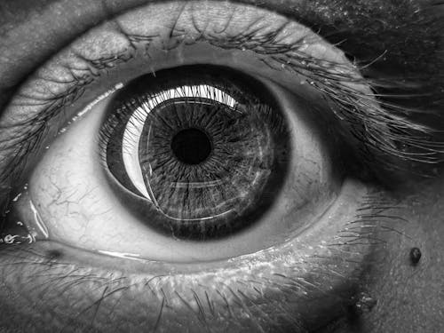 A Grayscale Photo of a Human Eye