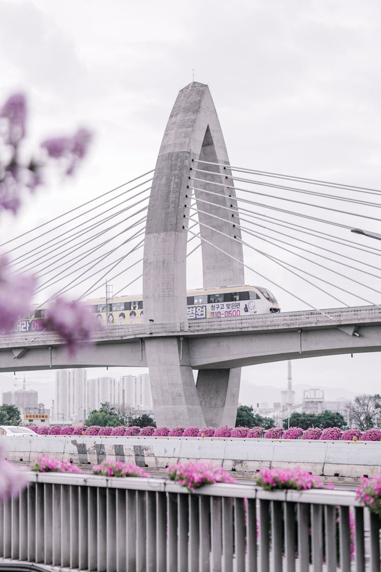 Train In A White Bridge Under White Sky