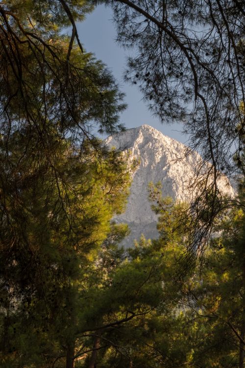 Free Captivating view of a mountain peak seen through dense forest canopy, creating a natural frame. Stock Photo