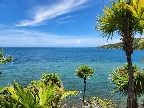 Scenic View of Sea during Daytime 