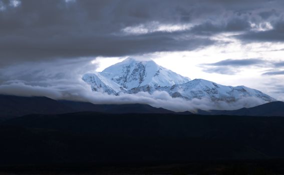 Denali National Park wildlife drive — Alaska