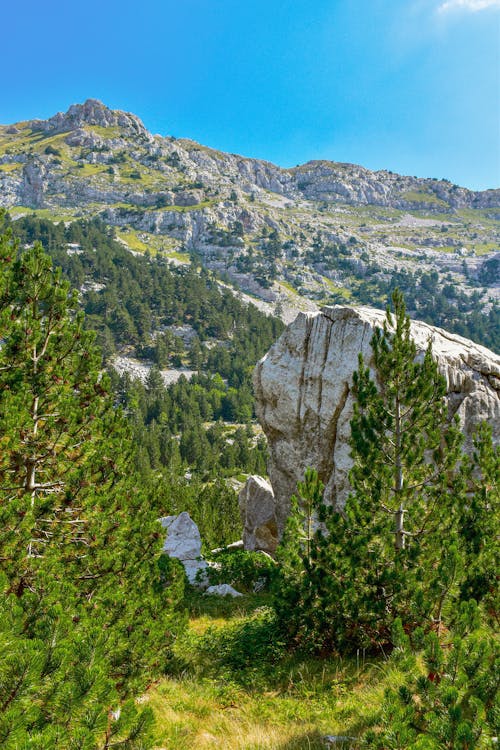 Scenic Landscape of a Mountain Range 