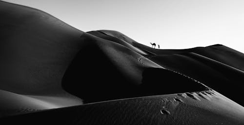 Grayscale Photo of a Desert with Footprints