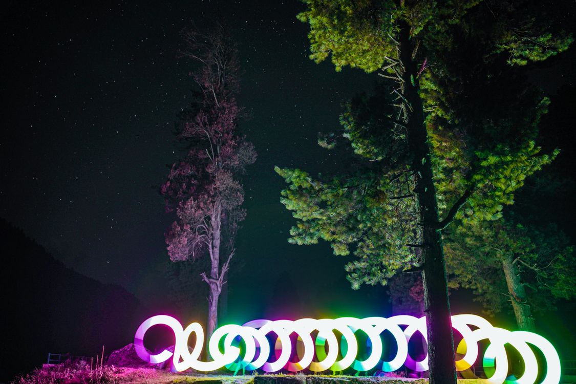 Stars over Trees and Illumianted Installation · Free Stock Photo