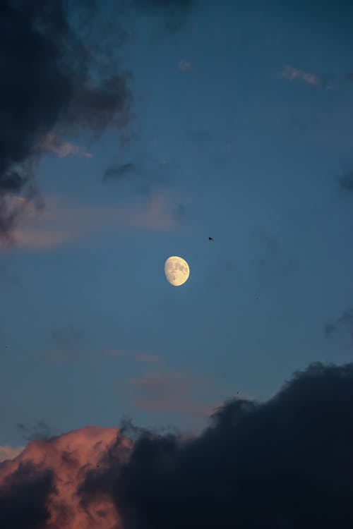 Moon in the Evening Sky