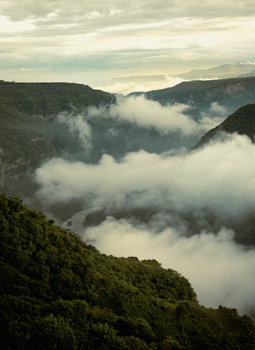 Foto profissional grátis de árvores, calmo, cenário