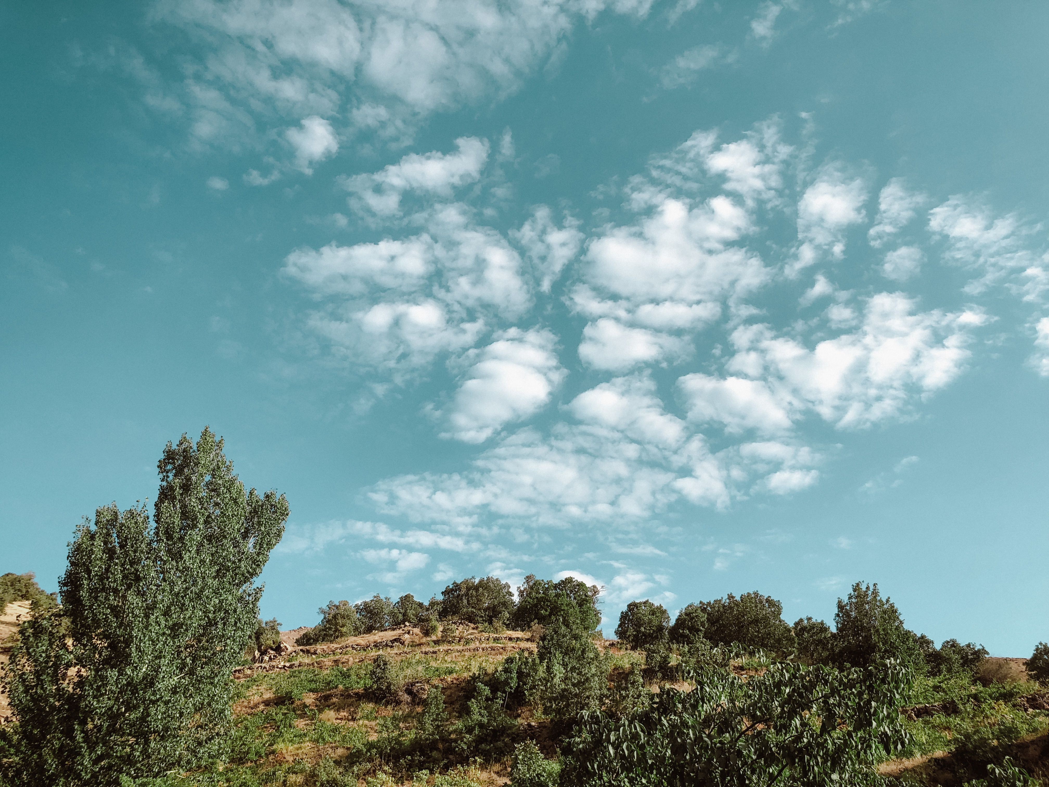 Travel inspiration for A Cultural Explorer’s 10-Day Road Trip Through Iraqi Kurdistan