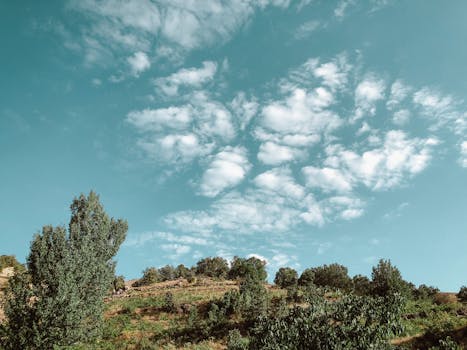 Tranquil view of a hillside landscape with green trees and a blue sky in Qaladiza, Iraq.