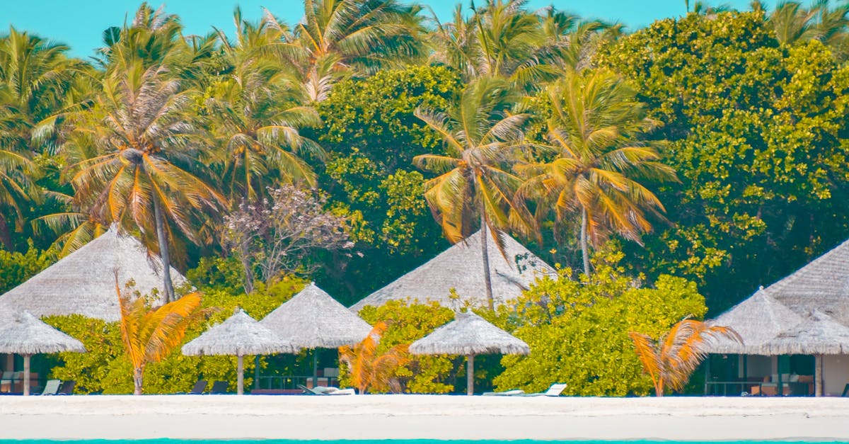 Jamaica: What makes PPP projects bankable in small island economies Jamaica: What makes PPP projects bankable in small island economies