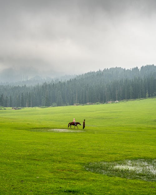 People riding a Horse in a Grassland 