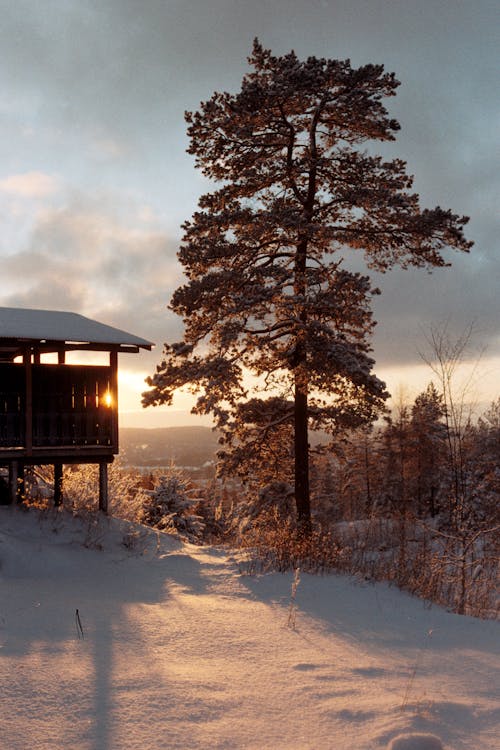 Free stock photo of cabin, snow, sunset