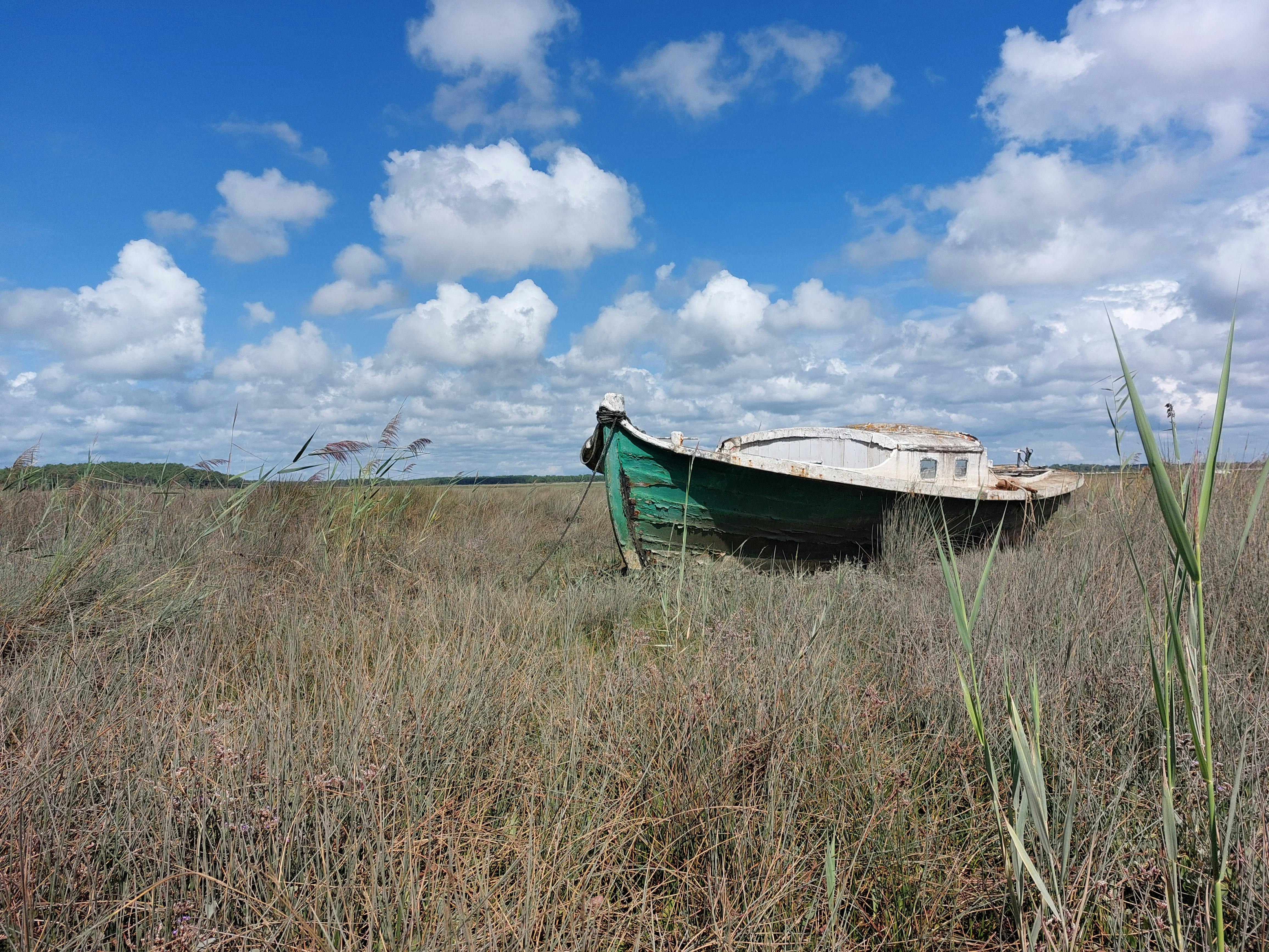 decaying boat on brown grass